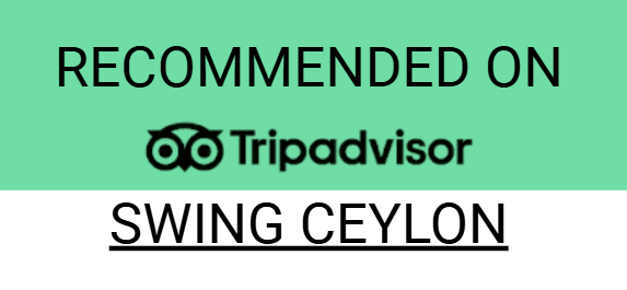 TripAdvisor